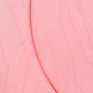 Alternative view of Shu Takahashi Painting